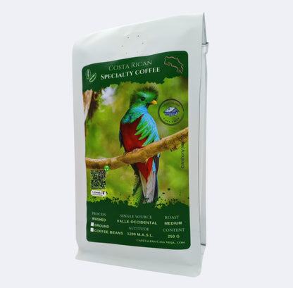 Quetzal (Edición Limitada)